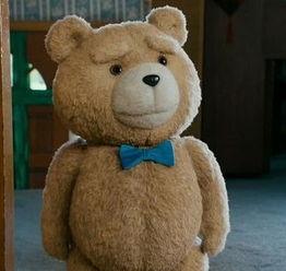 泰迪电影爆料视频在线观看,热门爆料视频在线观看，精彩内容不容错过！  第1张